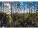 Aerial view of a property with tall trees and a peaceful waterfront in the background at 1635 Siloh Dr # 483, Mount Pleasant, SC 29466