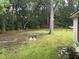 Large backyard with mature trees and a partially fenced area at 1032 Greenhill Rd, Charleston, SC 29412
