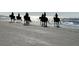 Group horseback riding along a scenic beach at 3350 Seabrook Island Rd, Seabrook Island, SC 29455