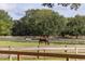Two horses grazing in a grassy pasture with wooden fencing at 3350 Seabrook Island Rd, Seabrook Island, SC 29455
