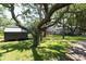 Spacious backyard with mature trees, shed, and deck at 1302 E Ashley Ave, Folly Beach, SC 29439