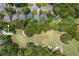 Aerial view of houses near golf course at 802 Long Drive Rd, Summerville, SC 29485