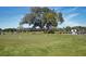 Putting green with a large oak tree and golf carts at 1647 Live Oak Park, Seabrook Island, SC 29455