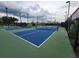 Well-lit outdoor pickleball courts in a community setting at 411 Swaying Pine Lane, Summerville, SC 29486