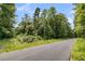Roadside view of a vacant lot surrounded by trees at 509 Twin Lakes Dr, Summerville, SC 29483
