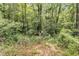 Private lot surrounded by lush trees and vegetation at 509 Twin Lakes Dr, Summerville, SC 29483