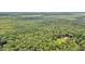 Aerial view of house nestled in a vast forest at 509 Twin Lakes Dr, Summerville, SC 29483
