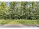 Vacant lot with lush greenery and trees at 509 Twin Lakes Dr, Summerville, SC 29483