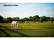 Several horses grazing peacefully in a lush green pasture at 1394/96 Pelican Watch Villas, Seabrook Island, SC 29455