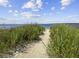 Sandy beach path bordered by tall grasses leading to the shore at 1309 Pelican Watch Villas, Seabrook Island, SC 29455