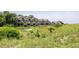 Luxury townhomes nestled in a serene coastal setting with lush landscaping at 1309 Pelican Watch Villas, Seabrook Island, SC 29455