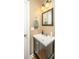 Small bathroom with vanity, mirror, and towel rack at 181 Pekoe Ct, Summerville, SC 29483