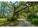 Landscaped property with mature trees and a gravel driveway at 8083 Point Of Pines Rd, Edisto Island, SC 29438