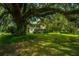 Serene backyard with large oak tree and charming home view at 8083 Point Of Pines Rd, Edisto Island, SC 29438
