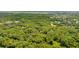 Aerial view of neighborhood with lush greenery and marsh at 1555 Scott Hill Rd, Charleston, SC 29412