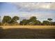 Expansive open field with a row of mature oak trees under a cloudy sky at 210 Oyster Catcher Ln, Ravenel, SC 29470