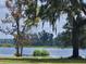Serene view of a lake from behind lush trees at 210 Oyster Catcher Ln, Ravenel, SC 29470