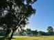 Serene landscape with mature oak trees and lush green grass at 210 Oyster Catcher Ln, Ravenel, SC 29470