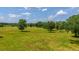 Aerial view of expansive property with lush green pasture and mature trees at 210 Oyster Catcher Ln, Ravenel, SC 29470
