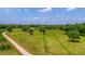Open pasture with a winding driveway and mature trees at 210 Oyster Catcher Ln, Ravenel, SC 29470