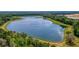 Aerial view of serene property featuring a large, tranquil lake surrounded by lush greenery at 210 Oyster Catcher Ln, Ravenel, SC 29470