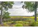 Scenic marsh landscape with tranquil water views at 1602 Bernier Commons, Johns Island, SC 29455