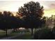 Sunrise view of a long driveway at 120 Old Peafield Rd, Saint George, SC 29477