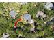 Home nestled in a lush, wooded neighborhood at 2340 Marsh Hen Dr, Seabrook Island, SC 29455