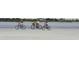 Three women biking on a sandy beach at 1351 Pelican Watch Villas, Seabrook Island, SC 29455