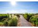 Wooden boardwalk path through coastal vegetation at 1351 Pelican Watch Villas, Seabrook Island, SC 29455
