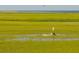 Personal fly fishing in the marsh at 1351 Pelican Watch Villas, Seabrook Island, SC 29455