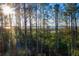 Scenic marsh view from a wooded area at 1687 Cultivation Ln # 461, Mount Pleasant, SC 29466