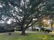Large shade tree in front yard with tire swing at 1717 Pinecrest Rd, Charleston, SC 29407