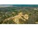 Aerial view of new homes and community at 409 Peachwood Ln, Moncks Corner, SC 29461