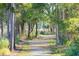 Scenic nature trail winding through a lush wooded area at 1713 Vireo Ct, Johns Island, SC 29455