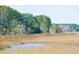 Serene marsh landscape with tall grass and calm waters at 1713 Vireo Ct, Johns Island, SC 29455
