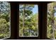 Stunning wooded view visible from expansive window at 420 Carolina Cherry Ct # 202, Charleston, SC 29414