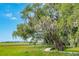 Peaceful marshfront walkway, perfect for enjoying serene views at 2951 Roseville Rd, Wadmalaw Island, SC 29487