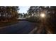 Paved road winding through a wooded area at 1461 Jeremy Cay Ct # 110, Awendaw, SC 29429