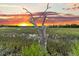 Dead tree in marsh setting at sunset at 000 Remington Trl, Johns Island, SC 29455