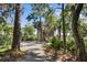 Long driveway leading to a two-story home surrounded by trees at 2473 High Hammock Rd, Seabrook Island, SC 29455
