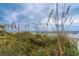 Oceanfront view from beach dune with sea oats and waves at 144 Palmetto Blvd, Edisto Island, SC 29438