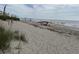 Scenic beach view with sand, ocean, and people enjoying the day at 3002 Palmetto Blvd # 6, Edisto Beach, SC 29438