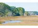 Serene marsh landscape with tall grasses and calm waters at 1709 Vireo Ct, Johns Island, SC 29455