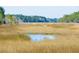 Picturesque marsh scenery with wooden walkway at 1709 Vireo Ct, Johns Island, SC 29455