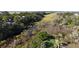 Aerial view of marsh, houses and boardwalk at 3 Seagrass Ln, Isle of Palms, SC 29451