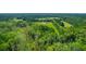 Wide shot of property showing house and surrounding landscape at 3238 Plow Ground Rd, Johns Island, SC 29455