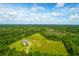 Aerial view of a house on a spacious lot surrounded by trees at 3238 Plow Ground Rd, Johns Island, SC 29455