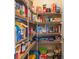 Well-stocked pantry with ample shelving for food storage at 586 Eastern Isle Ave, Summerville, SC 29486