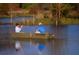 Two people fishing in a Lowe jon boat on a calm lake at sunset at 4 Wappoo Trace Ln, Summerville, SC 29486